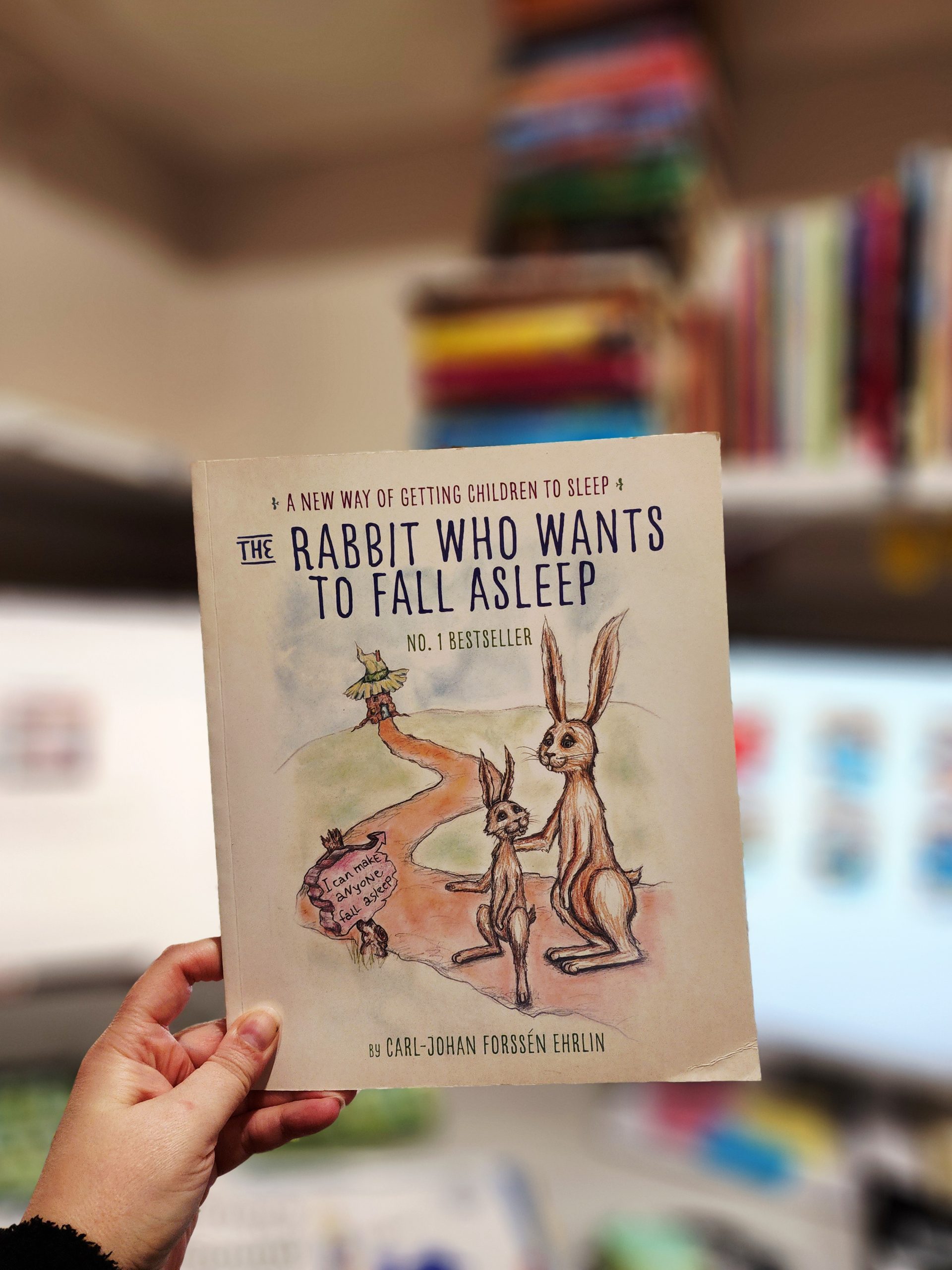 The Rabbit who wants to Fall Asleep